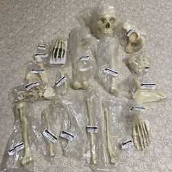 Female Bone Kit-Comp-110-F