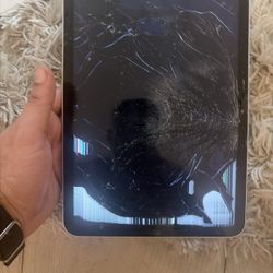 iPad Screen Broken. Touch Works 