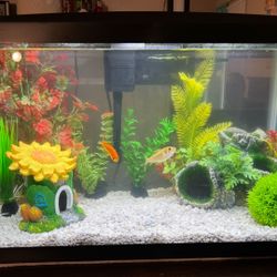 Fish Tank / Aquarium Kit and Decorations.