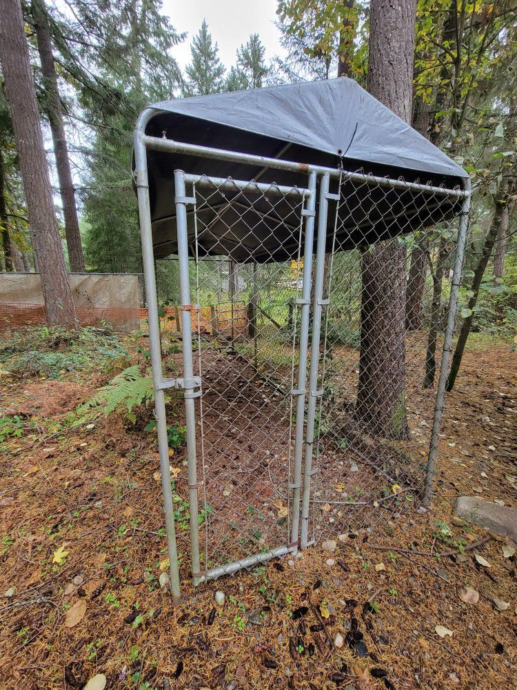 Covered dog kennel