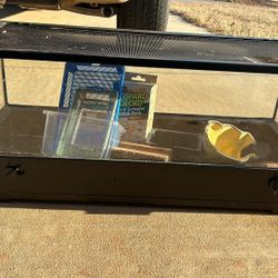 reptile tank 