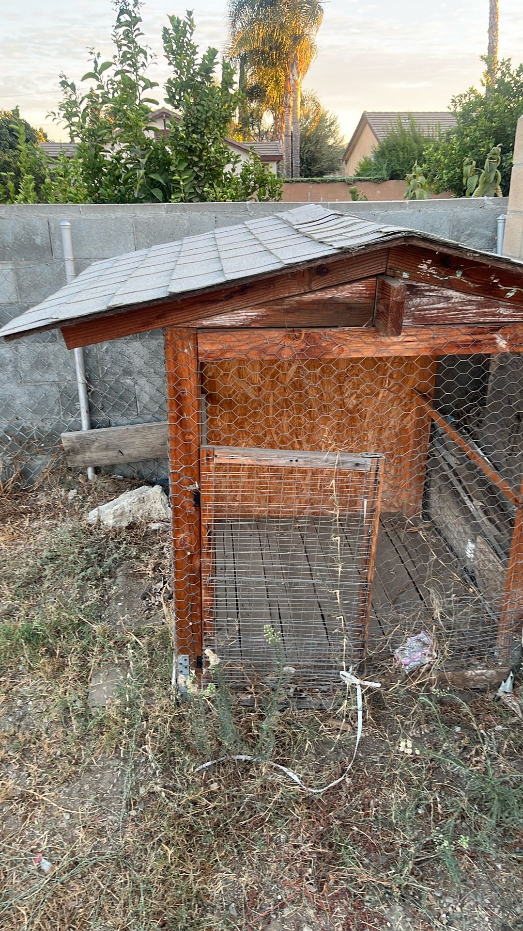 Chicken Coop Or Dog House