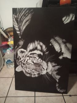 Tiger frame photo
