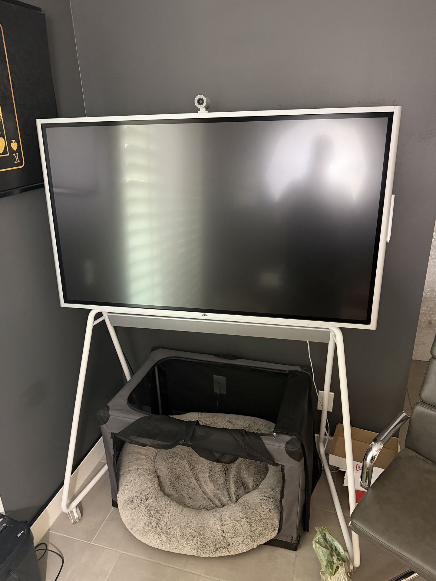 Vibe Board S1 55” + Smart Camera + Stand + Active Stylus – Like New
