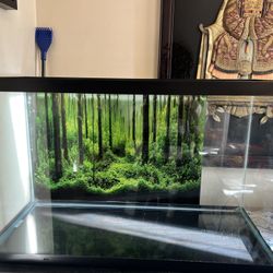 30 Gallon Aquarium And Other Aquarium Gadgets 
