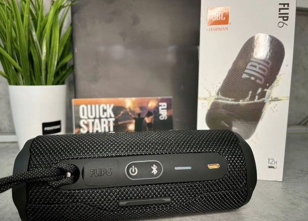 JBL Flip 6