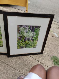 16" 24" Picture Frames