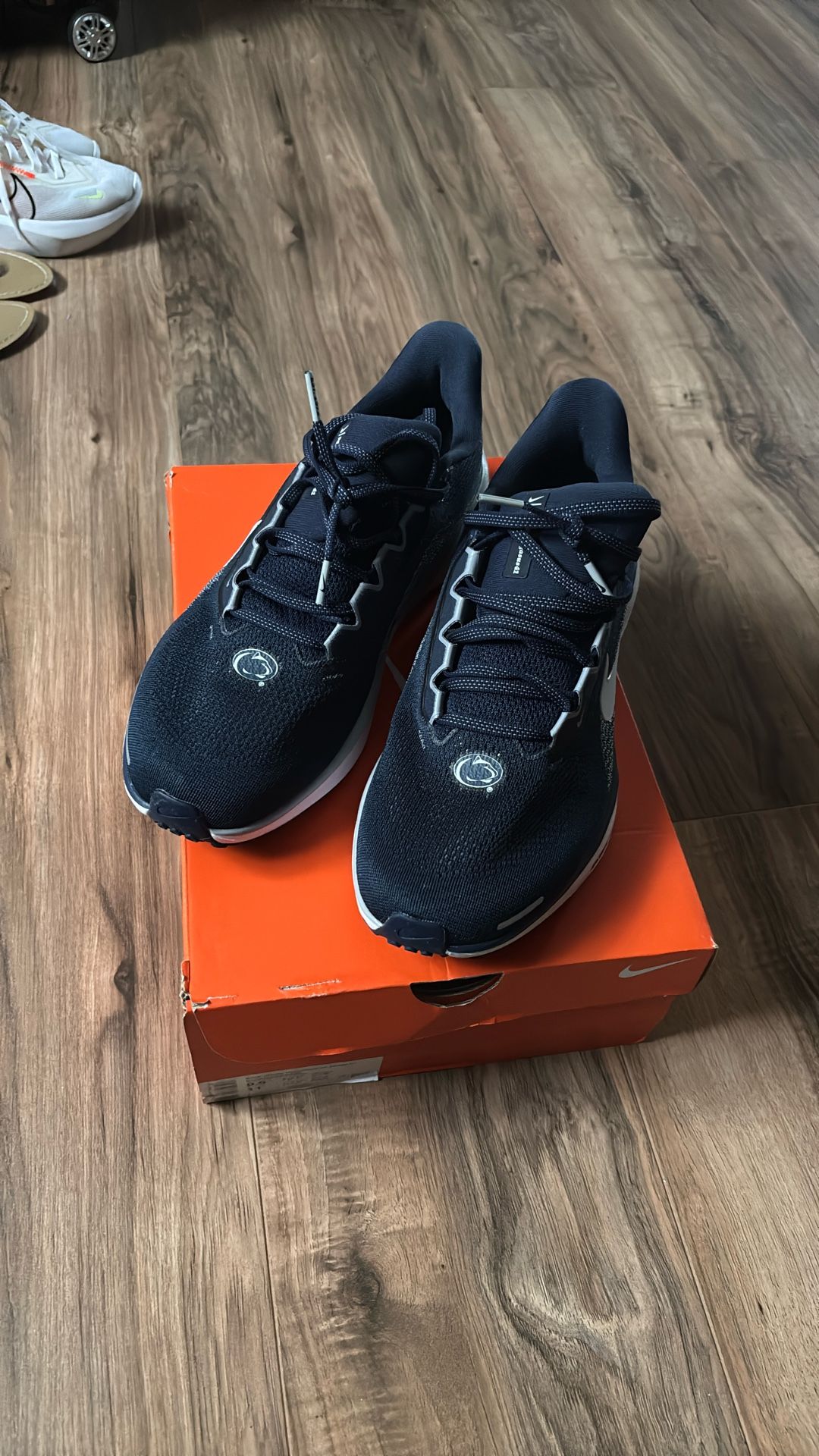 Nike Pegasus Penn State