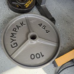 100lb Olympic Weight Plates