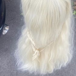 Blonde Wig