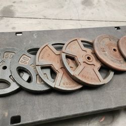 50s Standard Gym Weights $90 Pair
