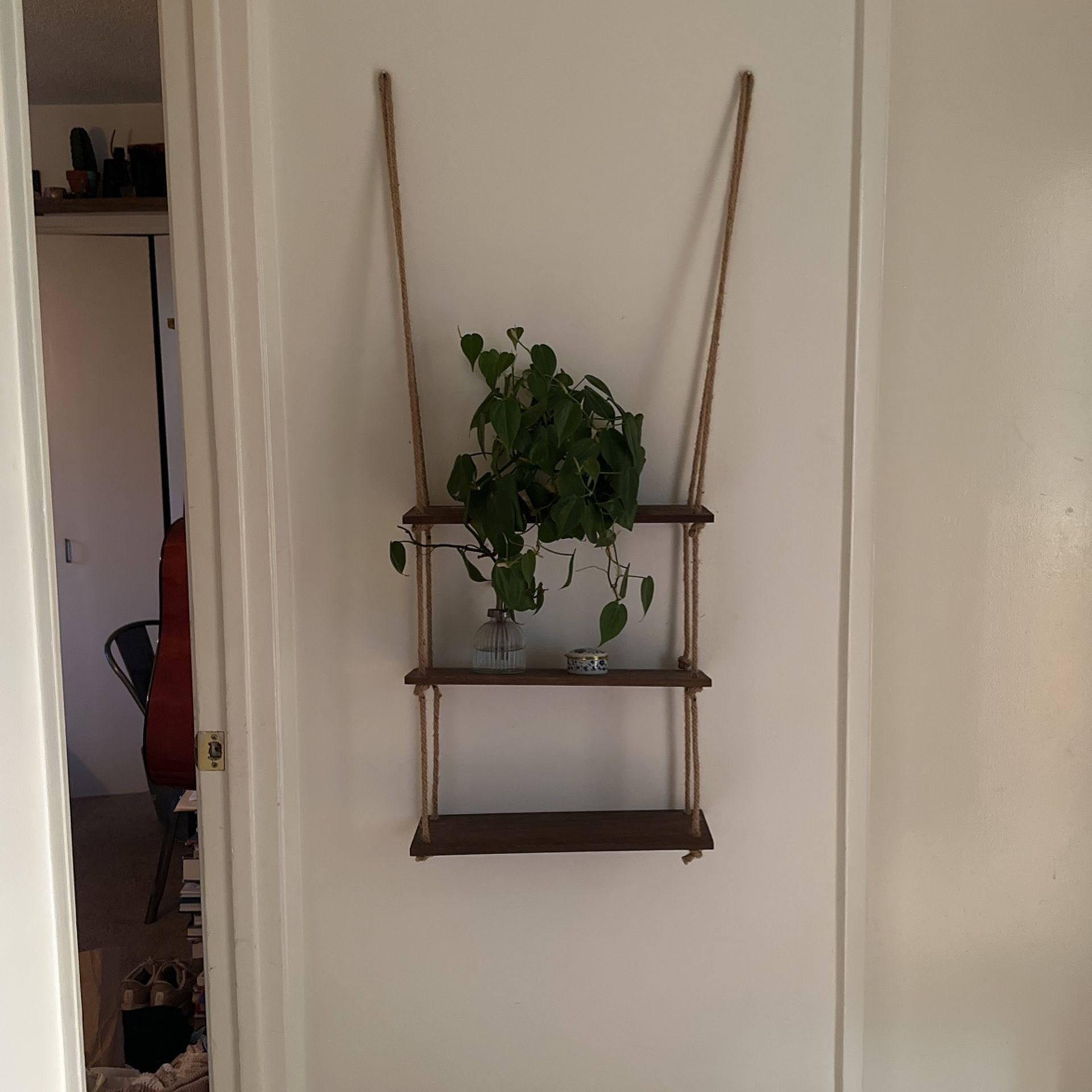 Hanging Wooden Ladder Shelf