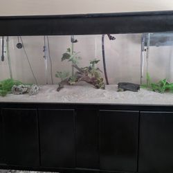 300 GALLON TANK