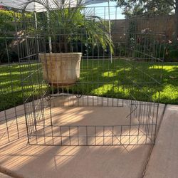 Animal Cage
