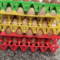 Eggs For Sale And Quails
