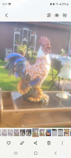 Giant Rooster Sunflower, Other Roosters, Lots Of Succullents Potted
