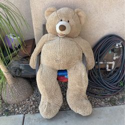 5 Foot Bear
