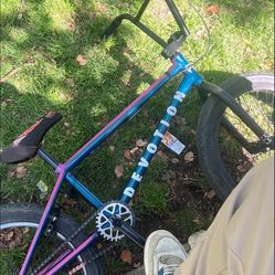 Cult Bmx Bike