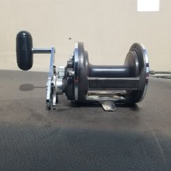 Daiwa Sealine 50H
