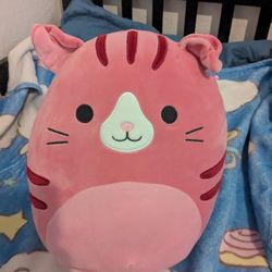 Geraldine Cat Squishmallow