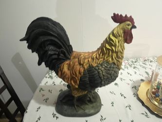 Rooster