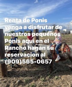 Pony Saddle