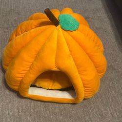 LARGE 22 INCH PUMPKIN CAT BED