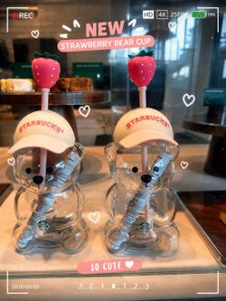 Starbucks cup bear