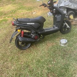 Ice bear Vision Moped/scooter Brand New 