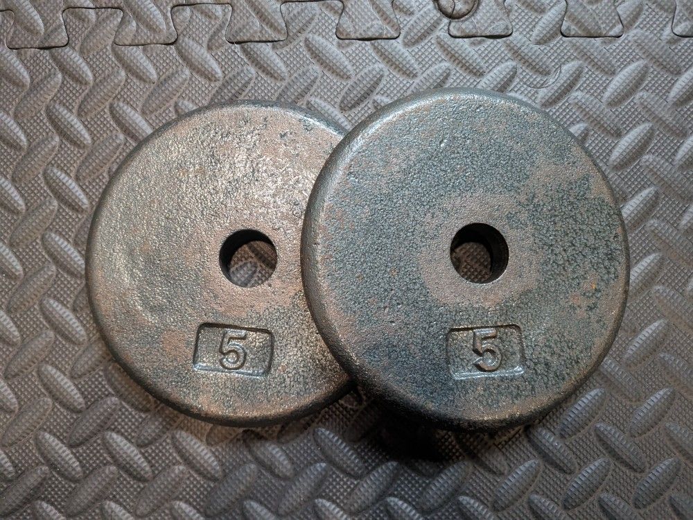 Pair of 5lb Dumbbell Weights