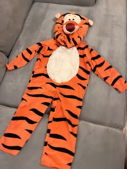 Tiger Costume -Winnie The Pooh