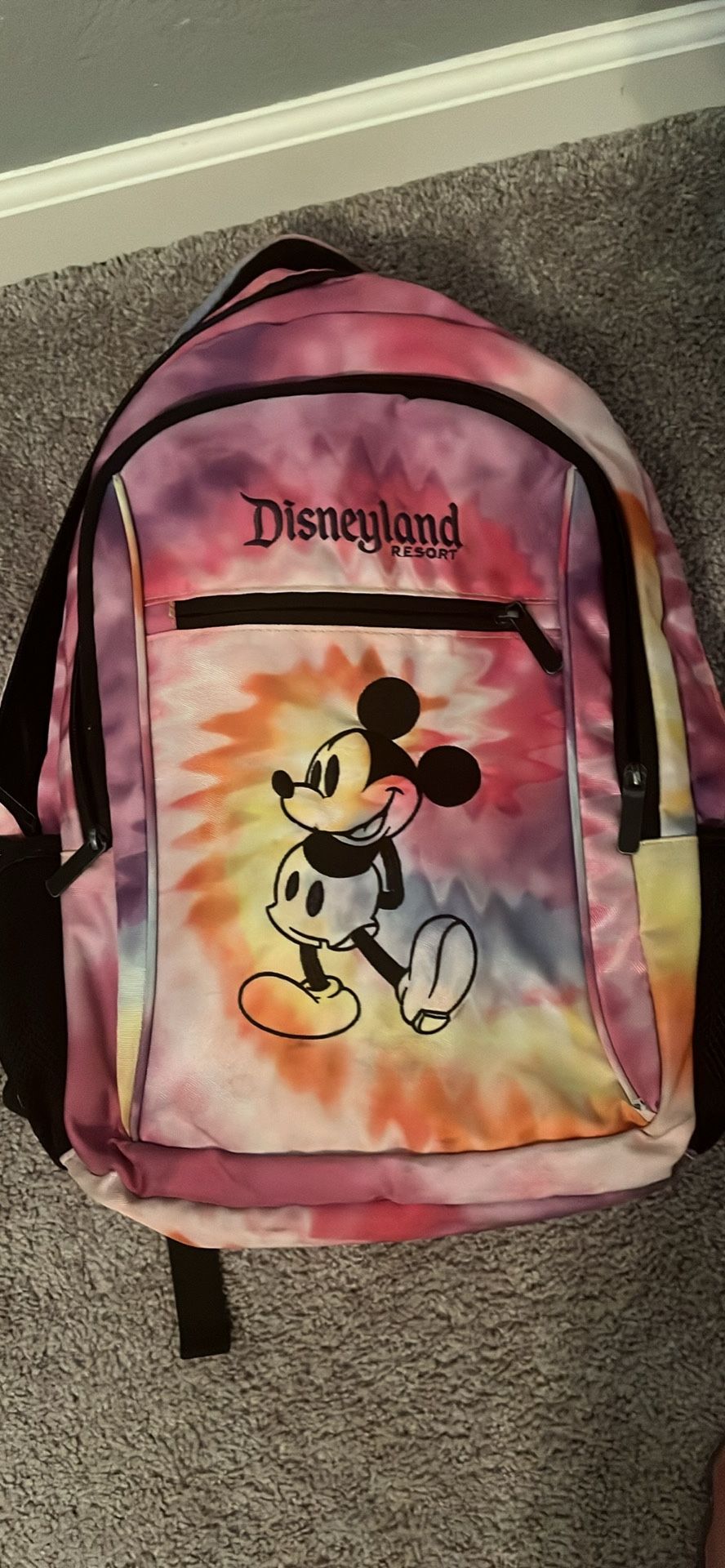 Disneyland Backpack