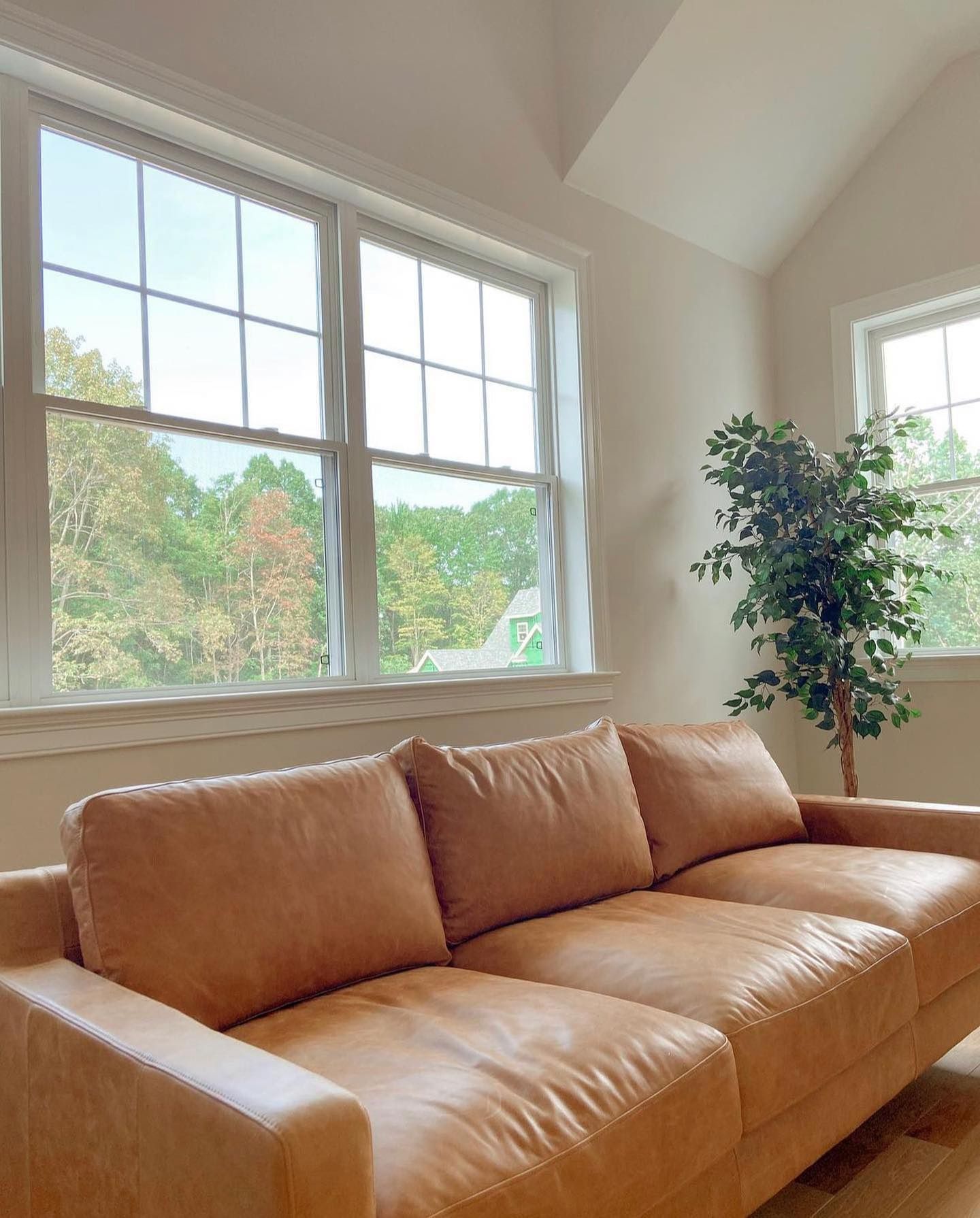 Leather Couch