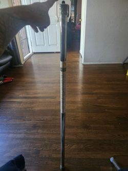 Shower rod