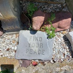 Cool Concrete Stepping Stone For Your Garden