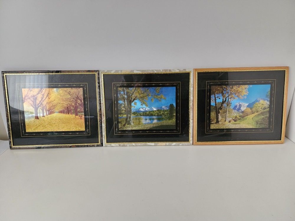 Nature Picture Frames