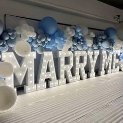 Marquee Letters Marry Me (can sell individually)