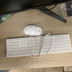 HP Mouse And Keyboard 