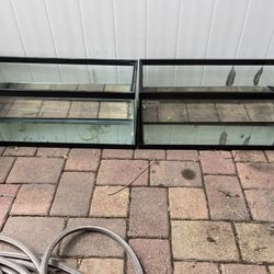 20 Gal Long Tanks ($20 EACH)