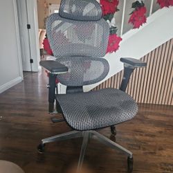 Ergonomic Desk Chair