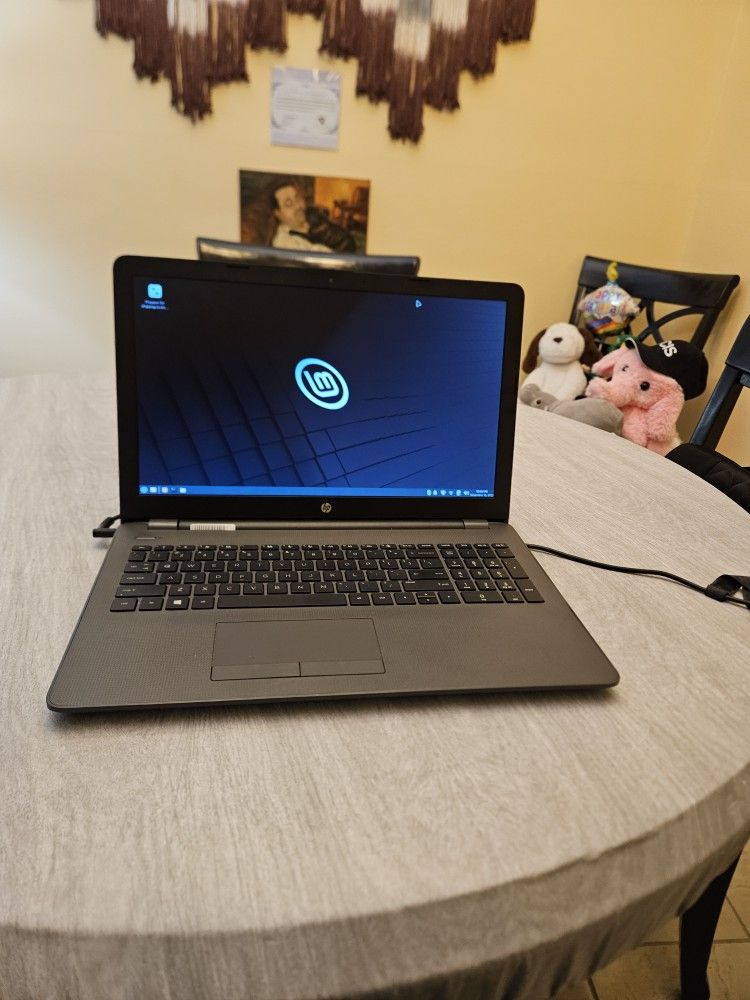 HP 15 AMD Processor Up To 2 GHZ 8 GB Ram Upgraded SSD New Battery Linux Mint Ready To Go
