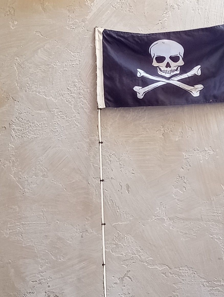 Bandera De Calavera $5