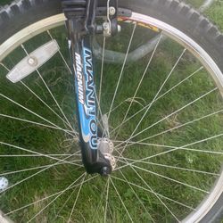 Retro Rock Hopper Mountain Bike