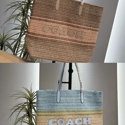 Luxury Beach bag