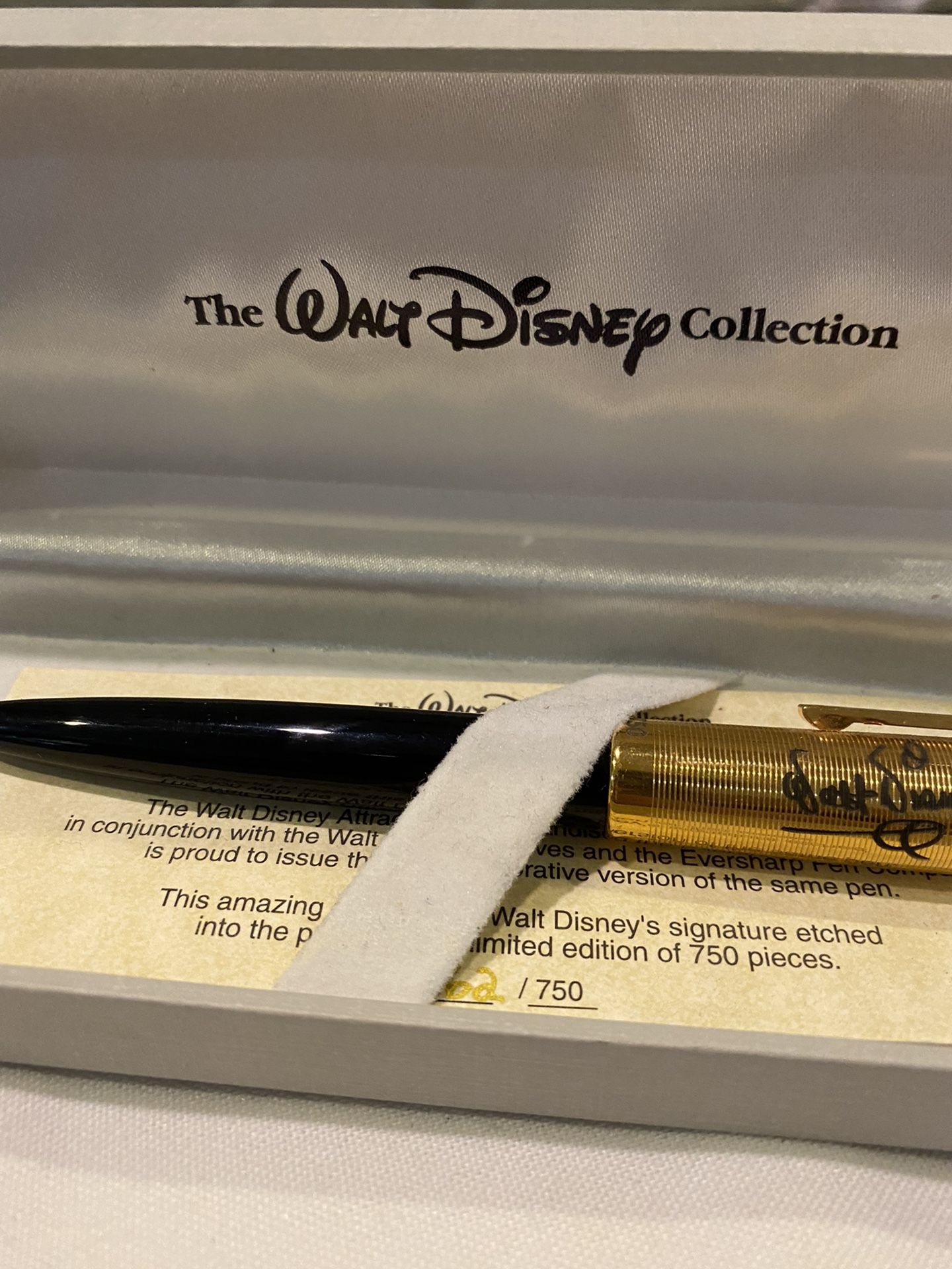 Disney Limited Fountain Pen