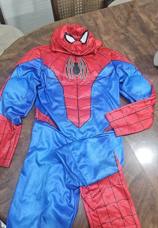 Boys Spider-Man Costume