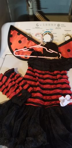 Custume ladybug