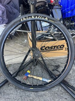 29er Slick Cruiser Wheel N Tire