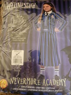 WEDSNDAY ADAM'S COSTUME