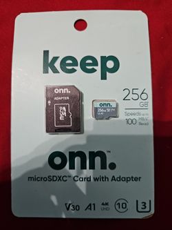 256gb micro sd